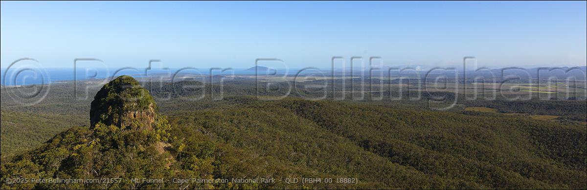 Peter Bellingham Photography Mt Funnel - Cape Palmerston National Park - QLD (PBH4 00 18882)
